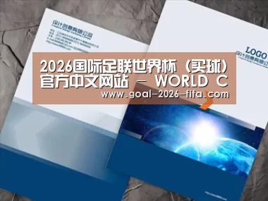 项目名称十