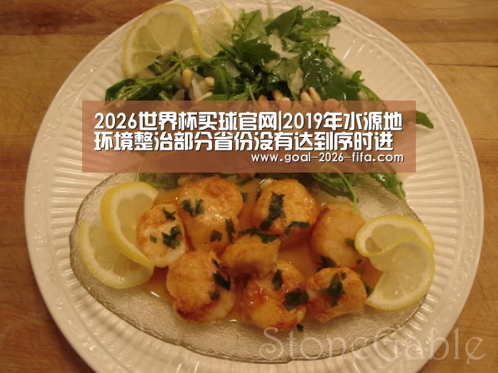 2026世界杯买球官网|2019年水源地环境整治部分省份没有达到序时进度(图2) 世界杯投注站